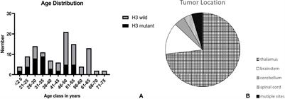 H3K27M Mutation Doesn’t Mean Worse Prognosis in Old Patients